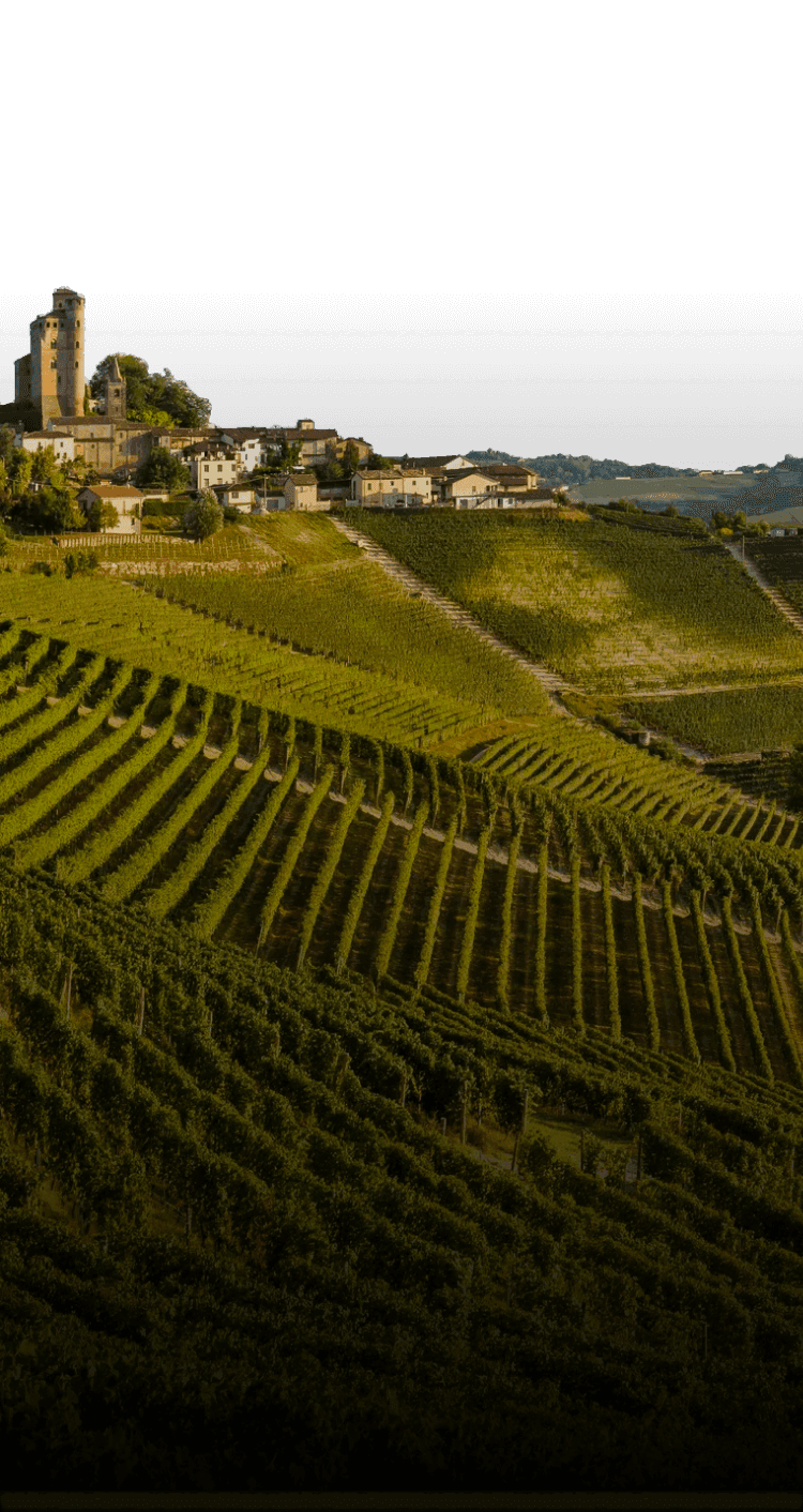 Panorama Langhe