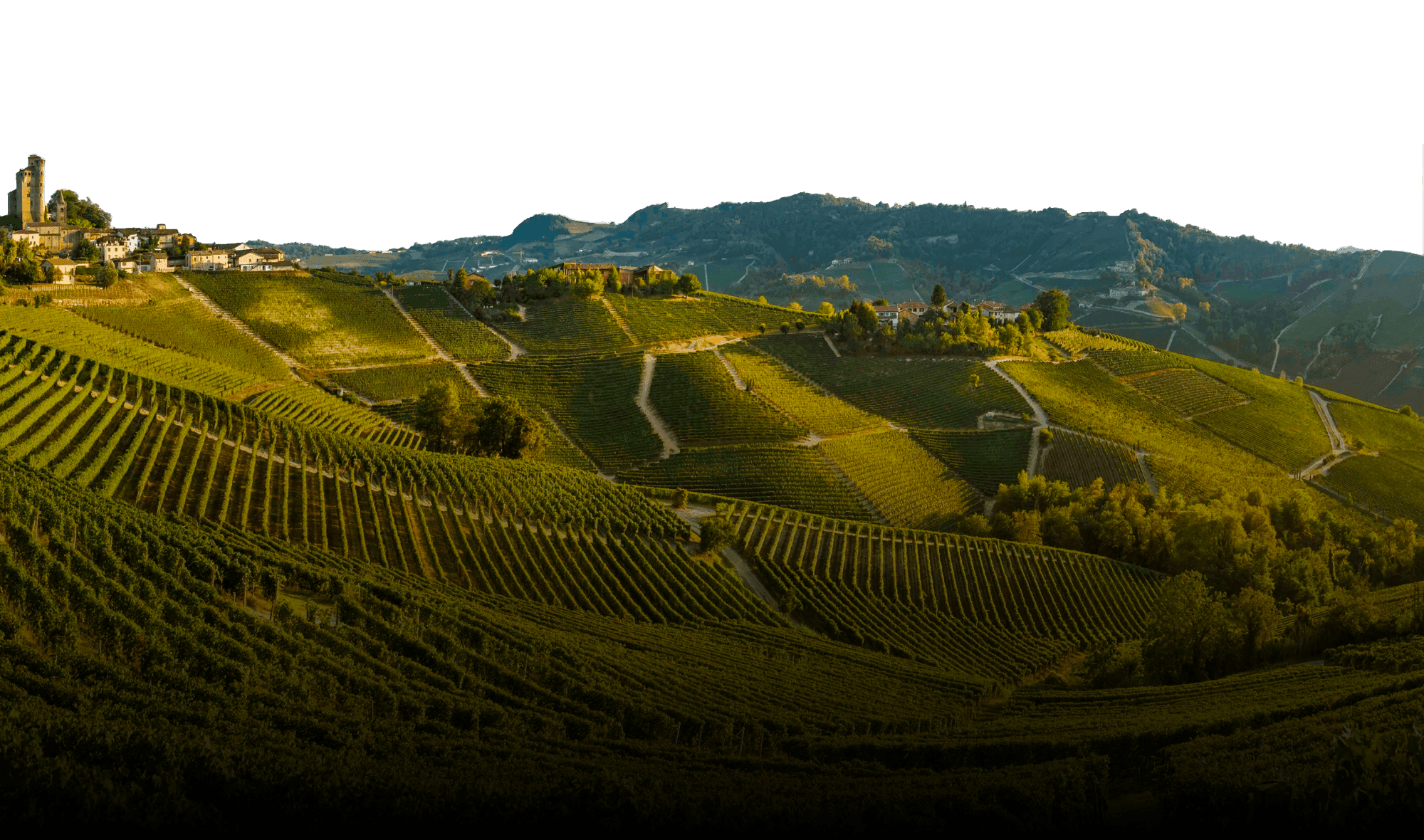 Panorama Langhe